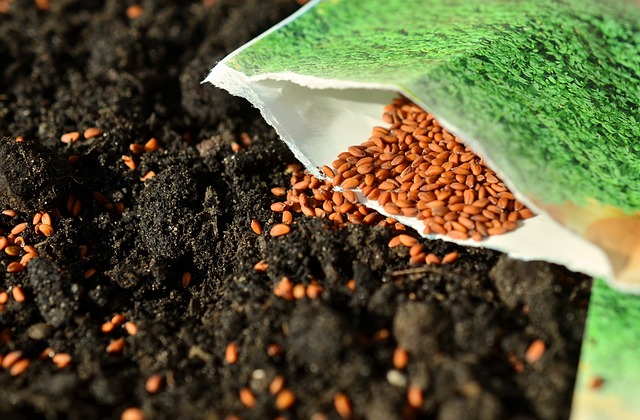 Planting a New Lawn From Seed The Right Way